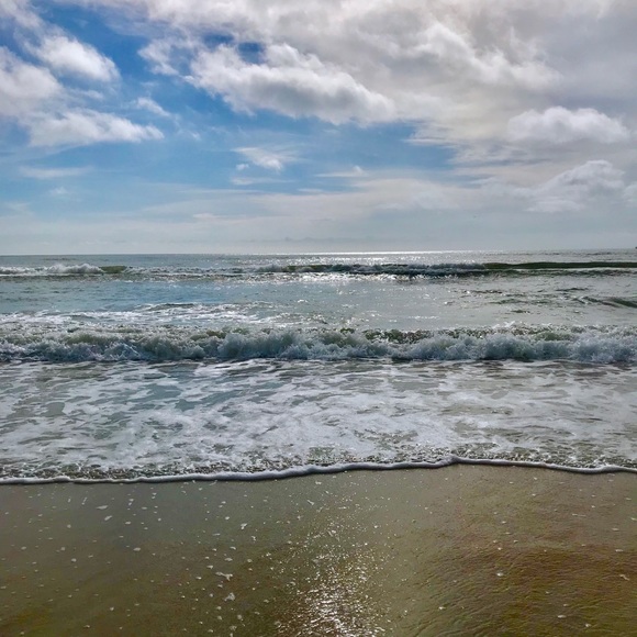 Meet your Posher, Linda - Picture 1 of 1